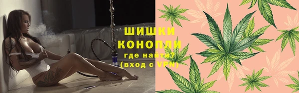 СК Алзамай