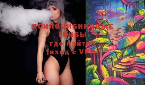 спайс Алексин
