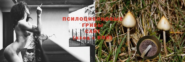 спайс Алексин
