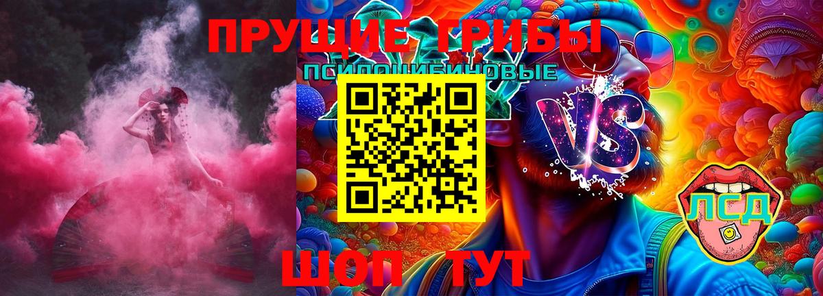 Псилоцибиновые грибы мицелий  Вход с VPN  сколько стоит  Нововоронеж 
