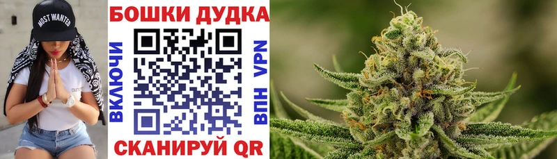 Канабис White Widow  где продают   Нововоронеж 